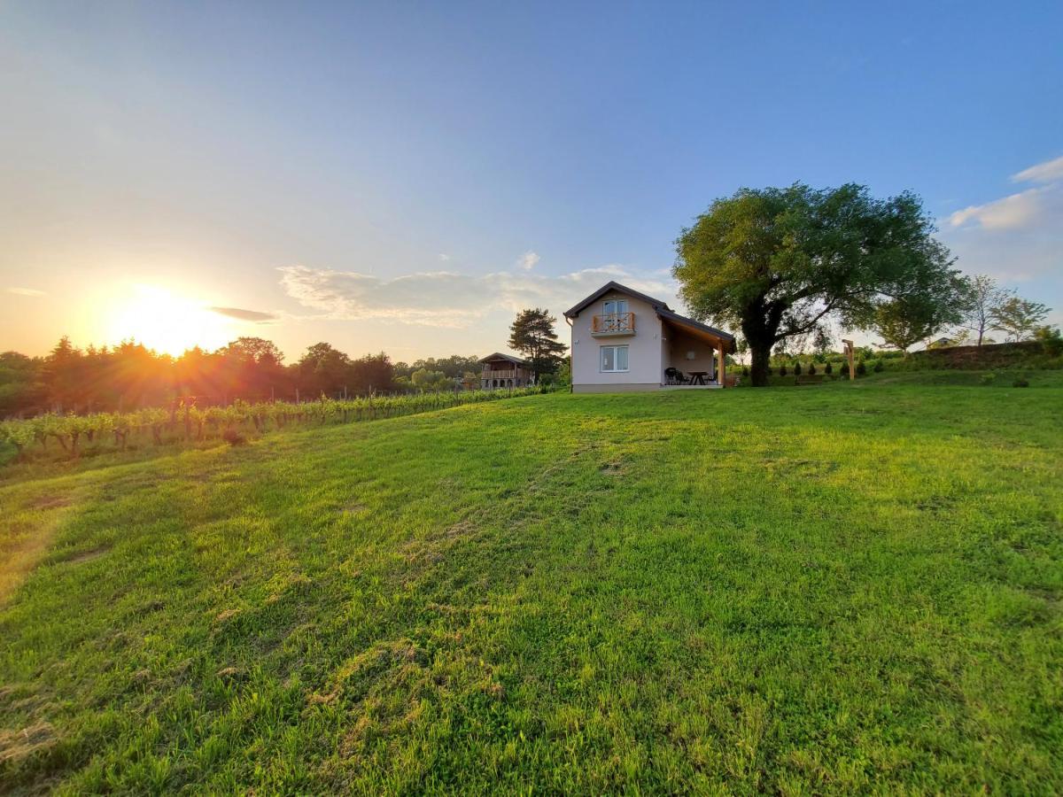 Holiday Home Vinovilla Kutjevo Екстер'єр фото