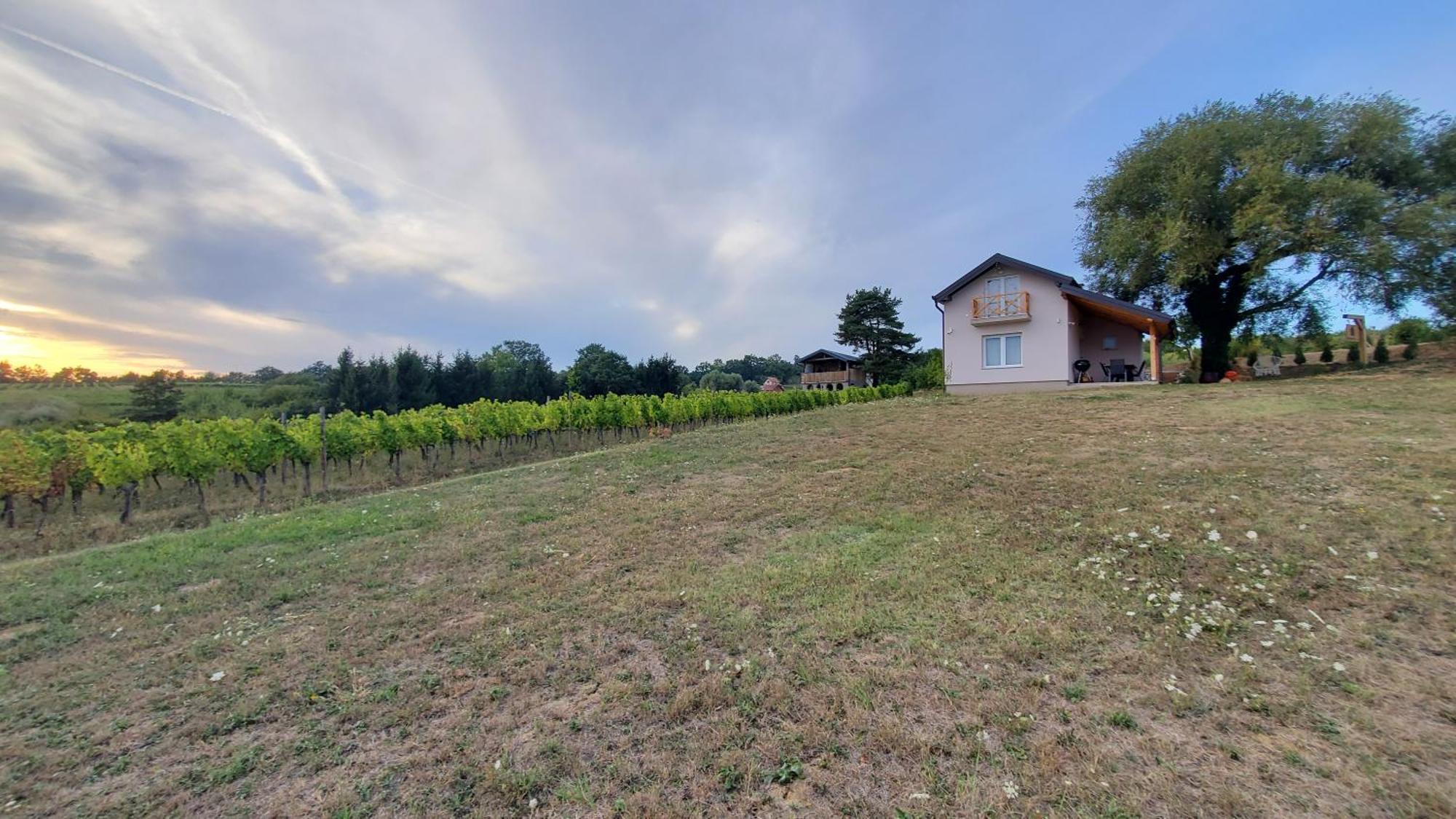Holiday Home Vinovilla Kutjevo Екстер'єр фото
