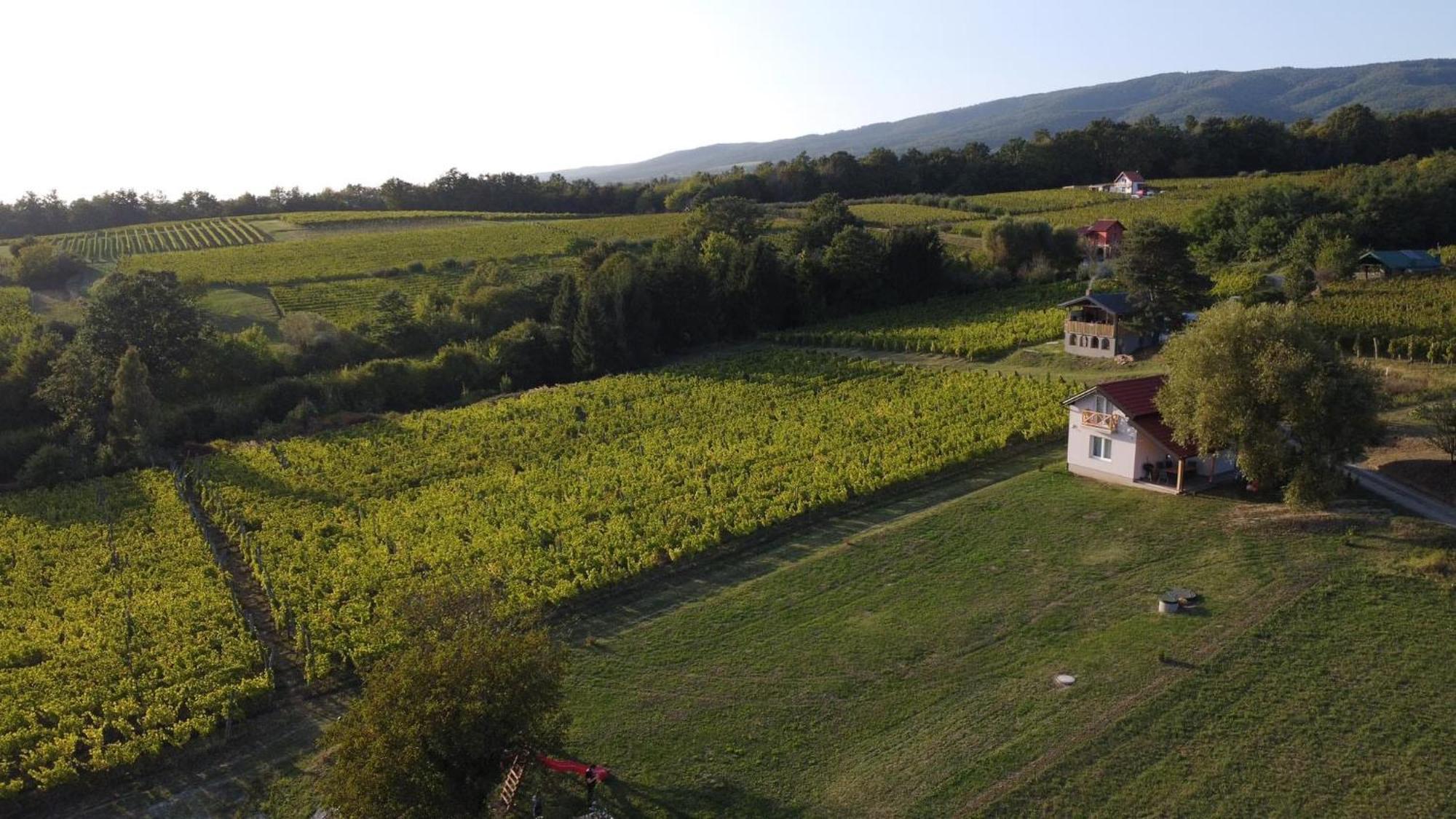 Holiday Home Vinovilla Kutjevo Екстер'єр фото